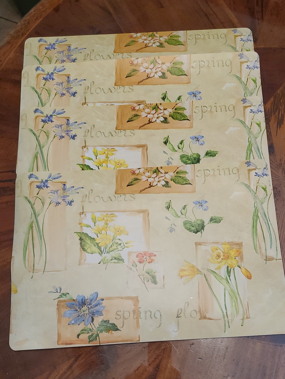 4 pc PVC Placemats Spring Theme Floral Flowers Easy Clean
